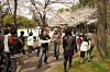 hana1 (104)_samu.gif